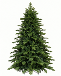 Sapin de Noël Premium